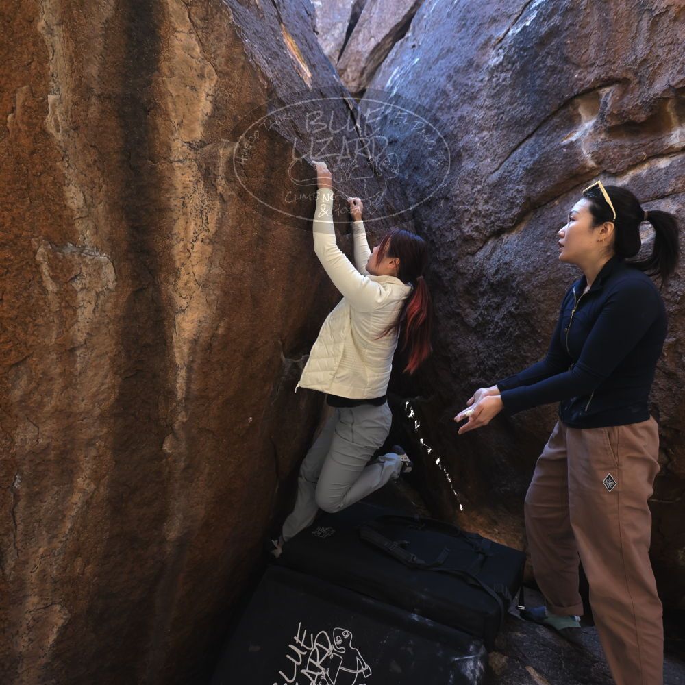 

Filename: SRM_20251109_1103410.jpg
Aperture: f/4.0
Shutter Speed: 1/400
Body: Canon EOS R6
Lens: Canon EF 16-35mm f/2.8 L