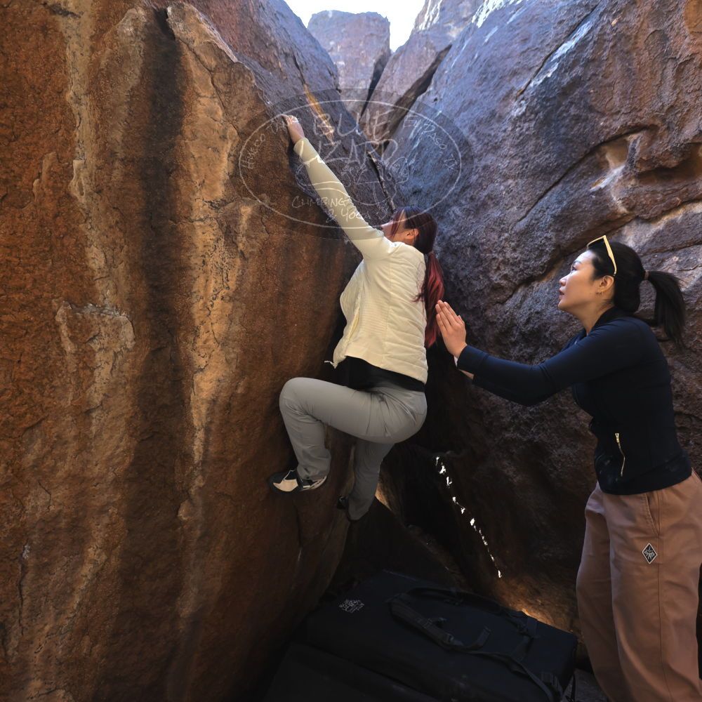 

Filename: SRM_20251109_1103450.jpg
Aperture: f/4.0
Shutter Speed: 1/400
Body: Canon EOS R6
Lens: Canon EF 16-35mm f/2.8 L