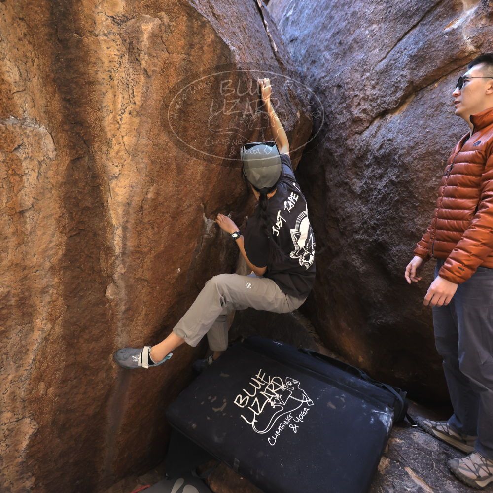 

Filename: SRM_20251109_1111532.jpg
Aperture: f/4.0
Shutter Speed: 1/400
Body: Canon EOS R6
Lens: Canon EF 16-35mm f/2.8 L