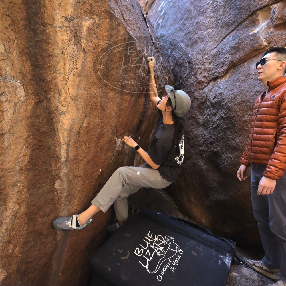 

Filename: SRM_20251109_1111580.jpg
Aperture: f/4.0
Shutter Speed: 1/400
Body: Canon EOS R6
Lens: Canon EF 16-35mm f/2.8 L