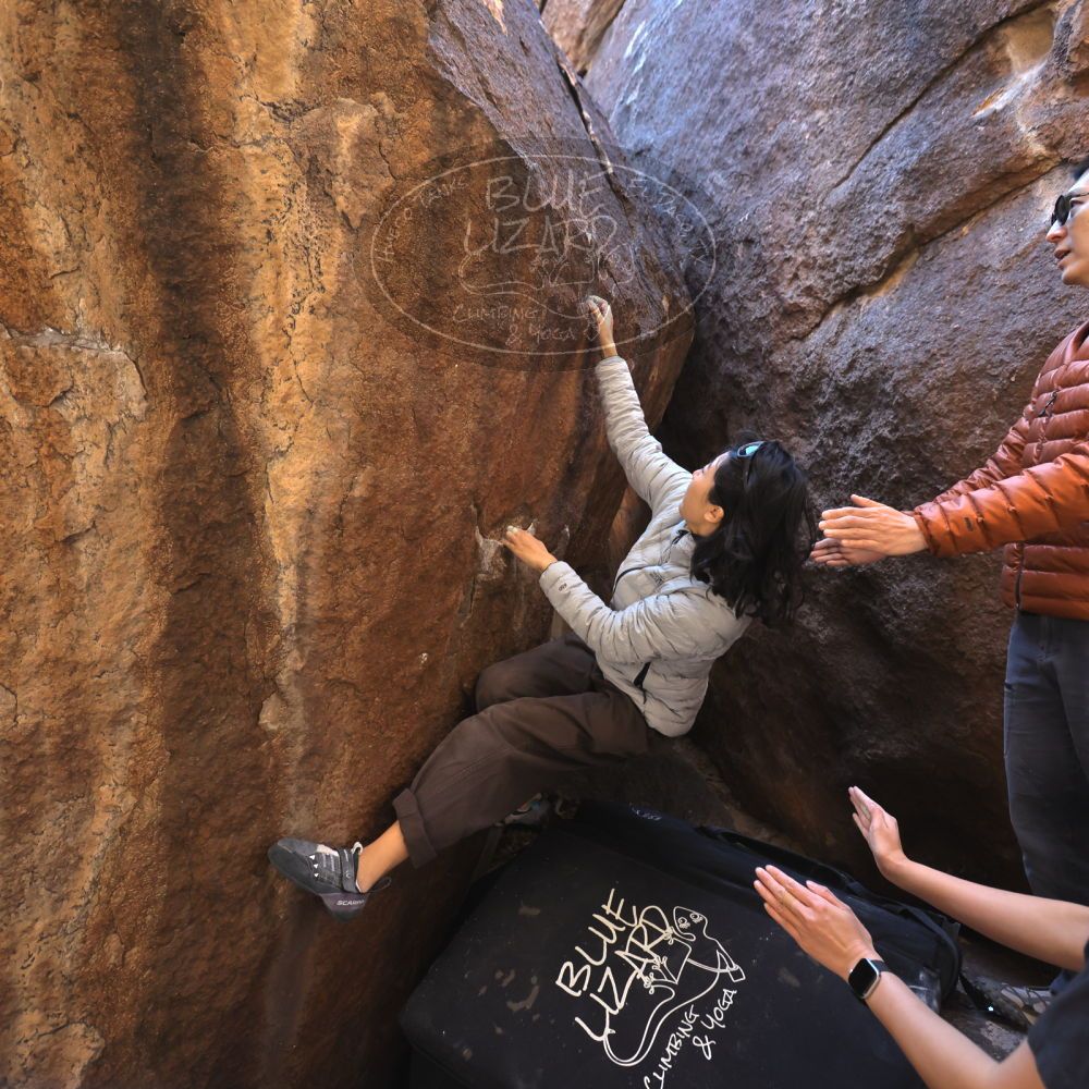 

Filename: SRM_20251109_1113460.jpg
Aperture: f/4.0
Shutter Speed: 1/400
Body: Canon EOS R6
Lens: Canon EF 16-35mm f/2.8 L