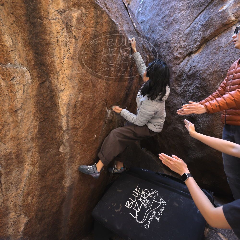 

Filename: SRM_20251109_1113500.jpg
Aperture: f/4.0
Shutter Speed: 1/400
Body: Canon EOS R6
Lens: Canon EF 16-35mm f/2.8 L