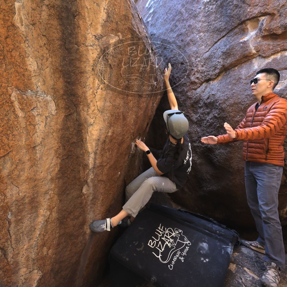 

Filename: SRM_20251109_1116060.jpg
Aperture: f/4.0
Shutter Speed: 1/400
Body: Canon EOS R6
Lens: Canon EF 16-35mm f/2.8 L