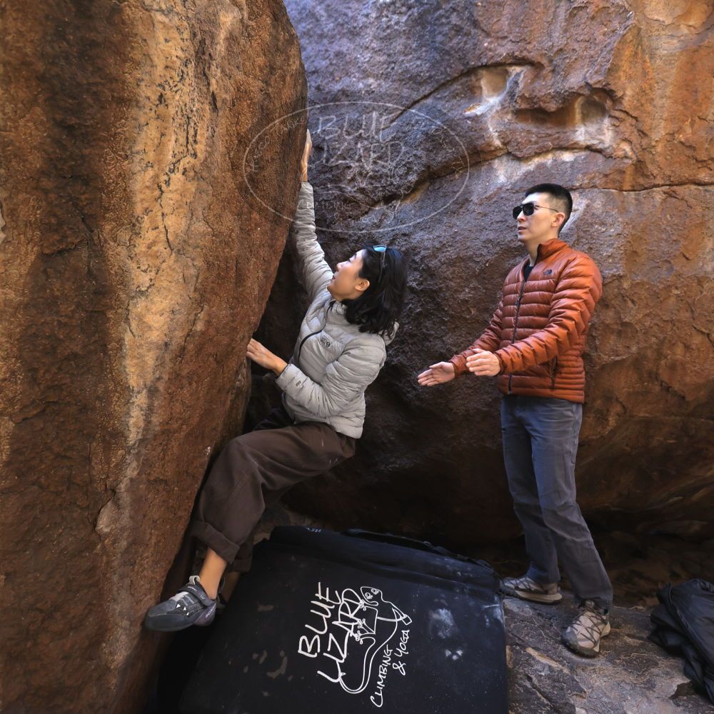 

Filename: SRM_20251109_1116340.jpg
Aperture: f/4.0
Shutter Speed: 1/400
Body: Canon EOS R6
Lens: Canon EF 16-35mm f/2.8 L