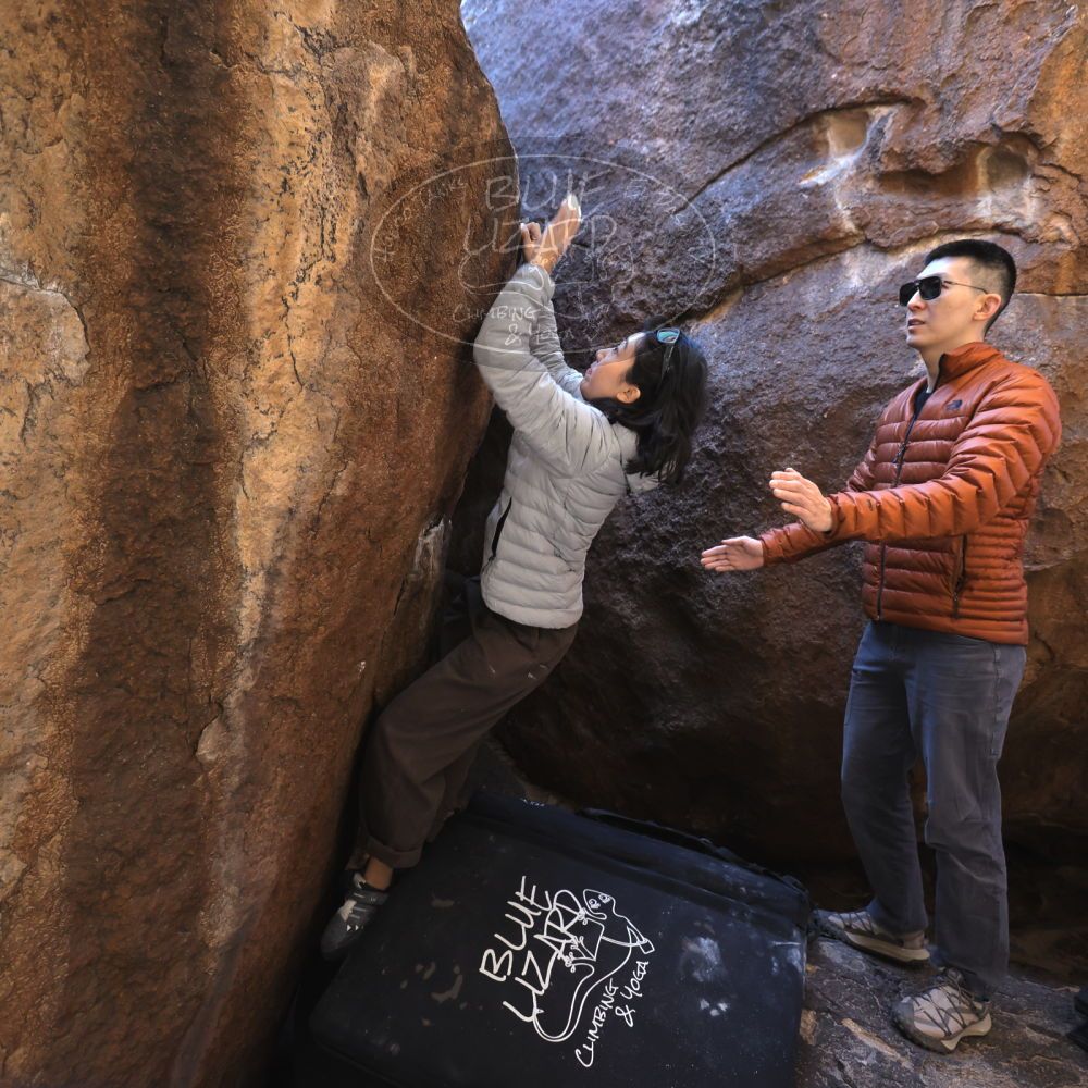 

Filename: SRM_20251109_1116370.jpg
Aperture: f/4.0
Shutter Speed: 1/400
Body: Canon EOS R6
Lens: Canon EF 16-35mm f/2.8 L