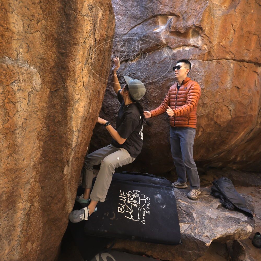 

Filename: SRM_20251109_1119090.jpg
Aperture: f/4.0
Shutter Speed: 1/400
Body: Canon EOS R6
Lens: Canon EF 16-35mm f/2.8 L