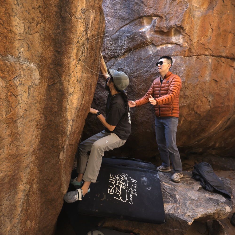 

Filename: SRM_20251109_1119091.jpg
Aperture: f/4.0
Shutter Speed: 1/400
Body: Canon EOS R6
Lens: Canon EF 16-35mm f/2.8 L