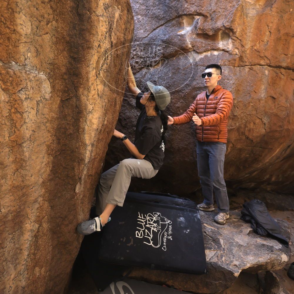 

Filename: SRM_20251109_1119120.jpg
Aperture: f/4.0
Shutter Speed: 1/400
Body: Canon EOS R6
Lens: Canon EF 16-35mm f/2.8 L