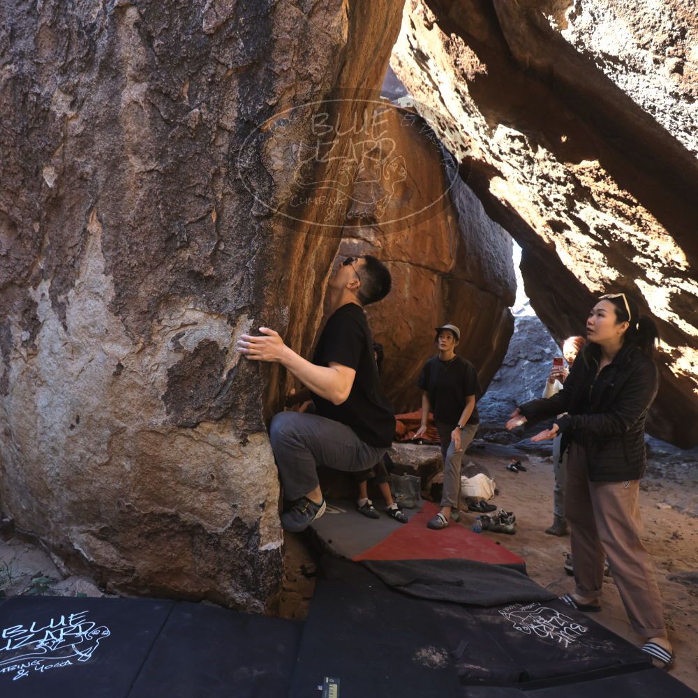 

Filename: SRM_20251109_1126450.jpg
Aperture: f/4.0
Shutter Speed: 1/400
Body: Canon EOS R6
Lens: Canon EF 16-35mm f/2.8 L