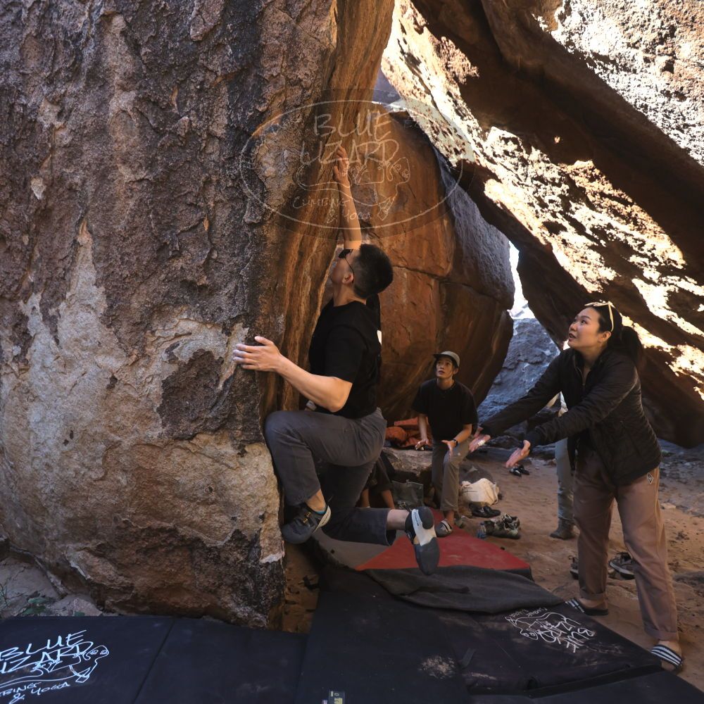 

Filename: SRM_20251109_1126470.jpg
Aperture: f/4.0
Shutter Speed: 1/400
Body: Canon EOS R6
Lens: Canon EF 16-35mm f/2.8 L