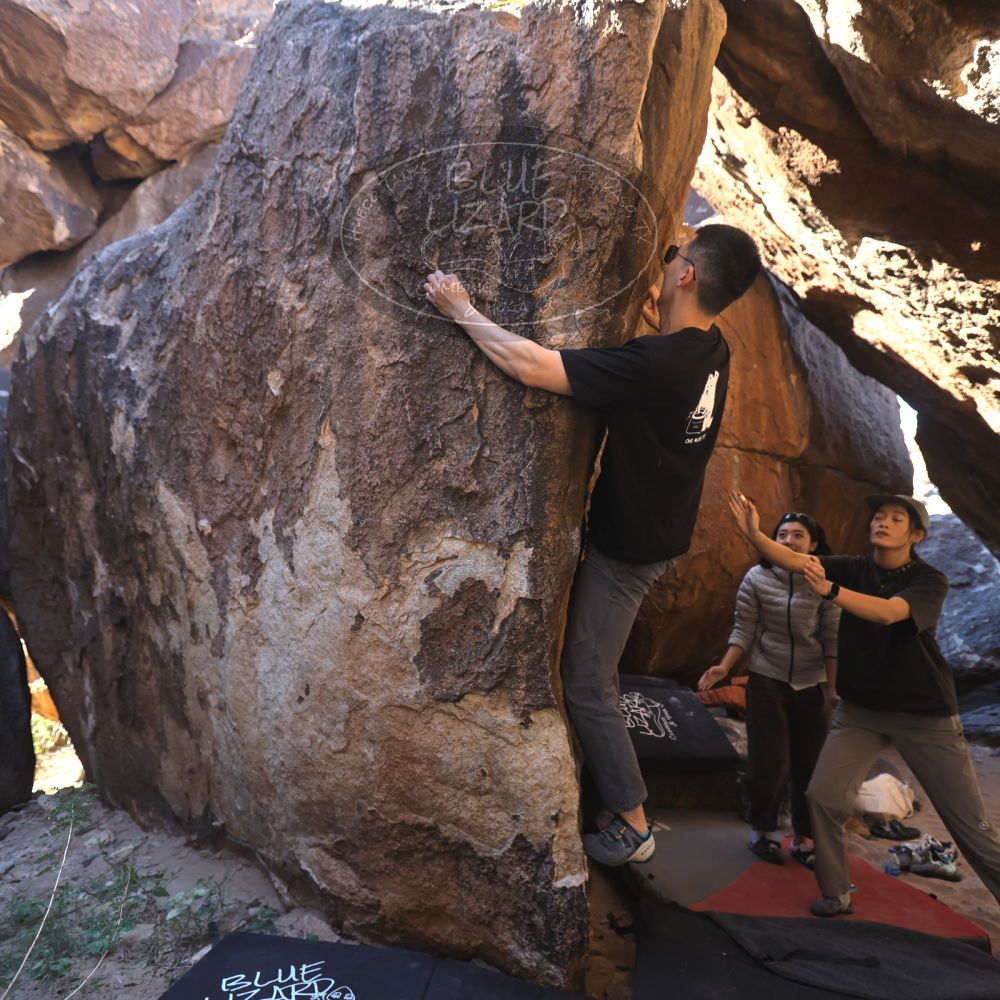 

Filename: SRM_20251109_1127240.jpg
Aperture: f/4.0
Shutter Speed: 1/400
Body: Canon EOS R6
Lens: Canon EF 16-35mm f/2.8 L