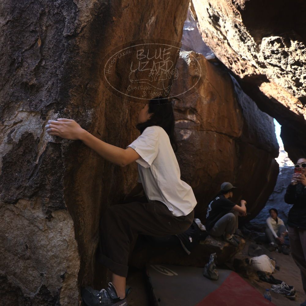 

Filename: SRM_20251109_1133470.jpg
Aperture: f/4.0
Shutter Speed: 1/400
Body: Canon EOS R6
Lens: Canon EF 16-35mm f/2.8 L