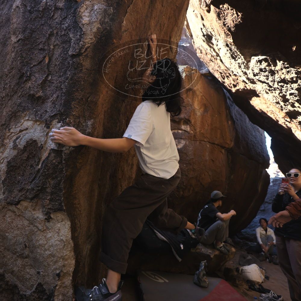 

Filename: SRM_20251109_1133480.jpg
Aperture: f/4.0
Shutter Speed: 1/400
Body: Canon EOS R6
Lens: Canon EF 16-35mm f/2.8 L