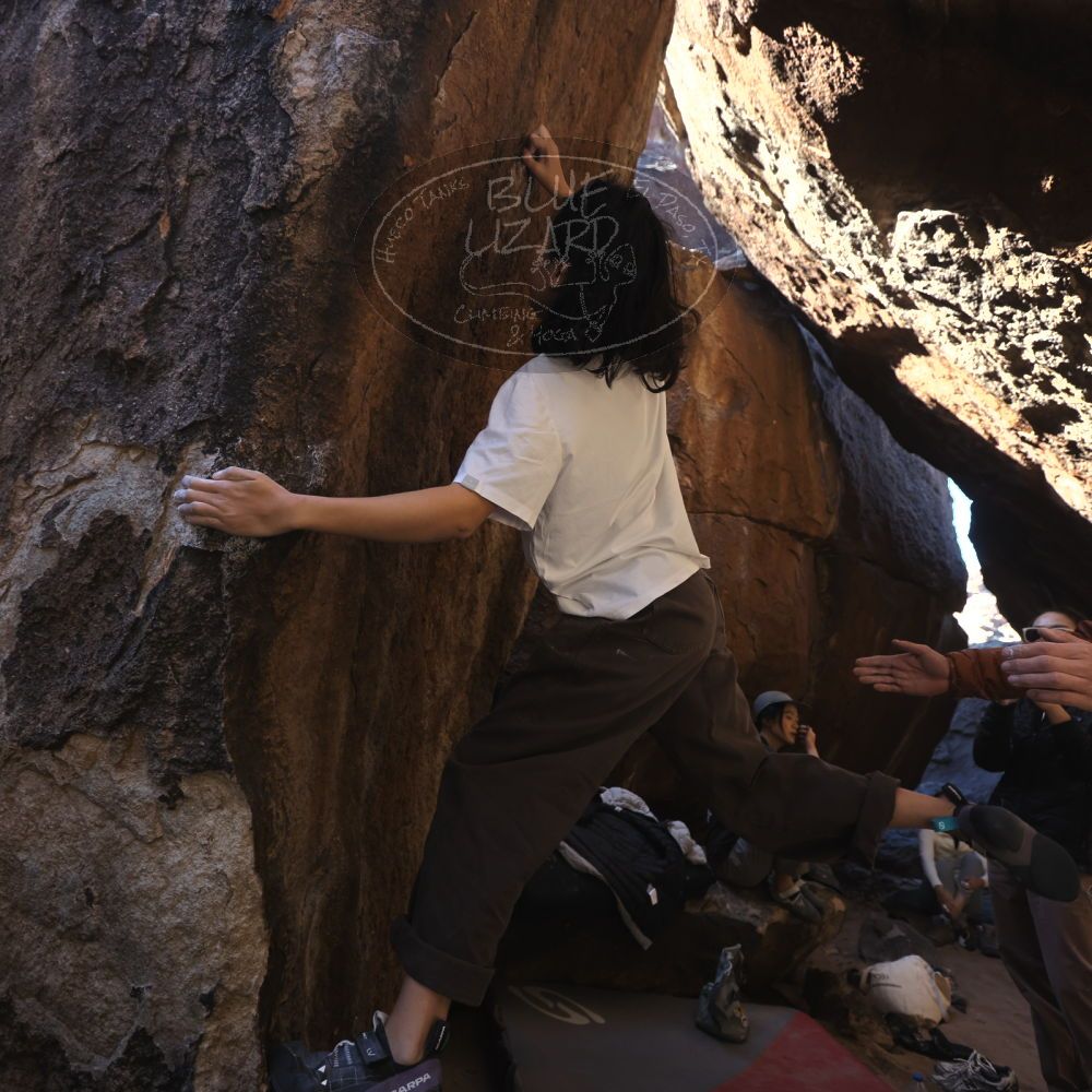 

Filename: SRM_20251109_1133490.jpg
Aperture: f/4.0
Shutter Speed: 1/400
Body: Canon EOS R6
Lens: Canon EF 16-35mm f/2.8 L