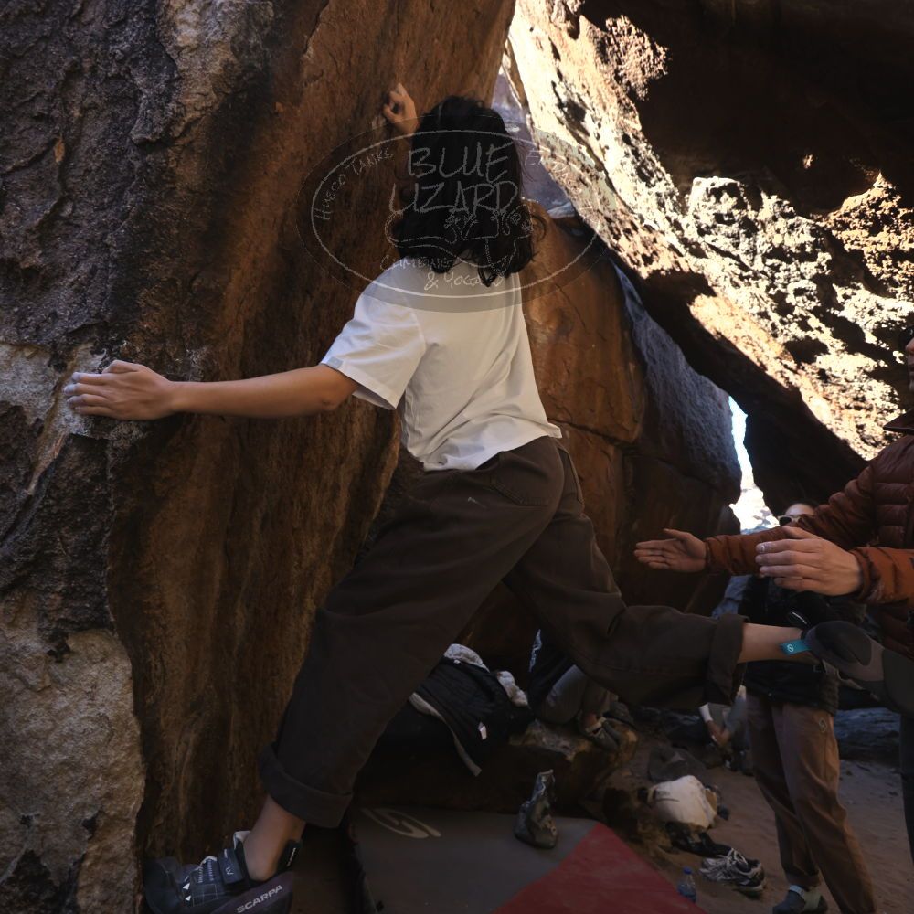 

Filename: SRM_20251109_1133491.jpg
Aperture: f/4.0
Shutter Speed: 1/400
Body: Canon EOS R6
Lens: Canon EF 16-35mm f/2.8 L