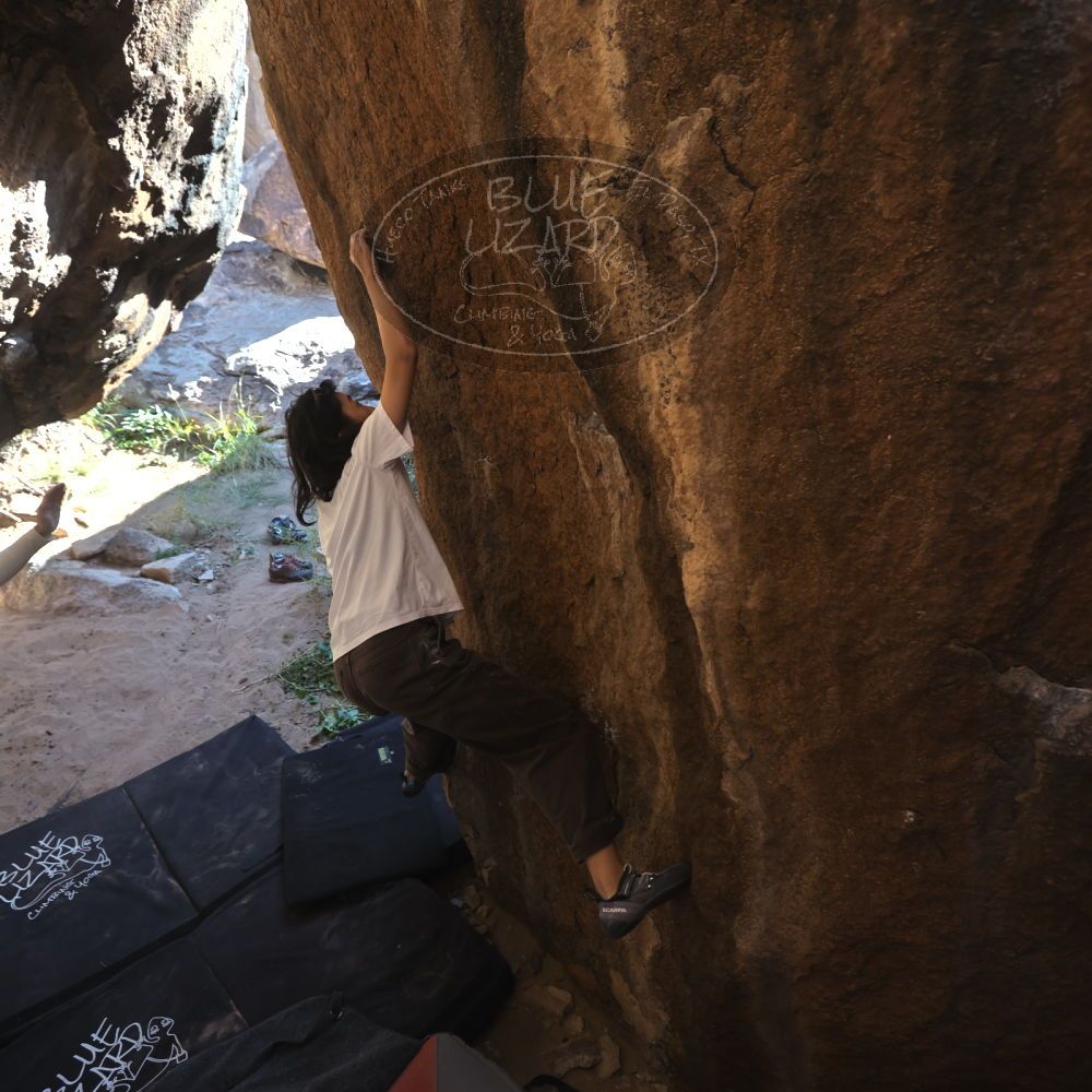 

Filename: SRM_20251109_1137110.jpg
Aperture: f/4.0
Shutter Speed: 1/400
Body: Canon EOS R6
Lens: Canon EF 16-35mm f/2.8 L