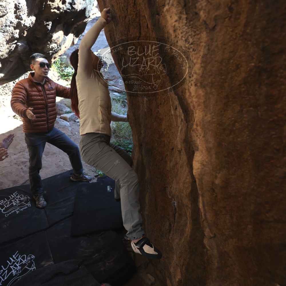 

Filename: SRM_20251109_1139350.jpg
Aperture: f/4.0
Shutter Speed: 1/400
Body: Canon EOS R6
Lens: Canon EF 16-35mm f/2.8 L