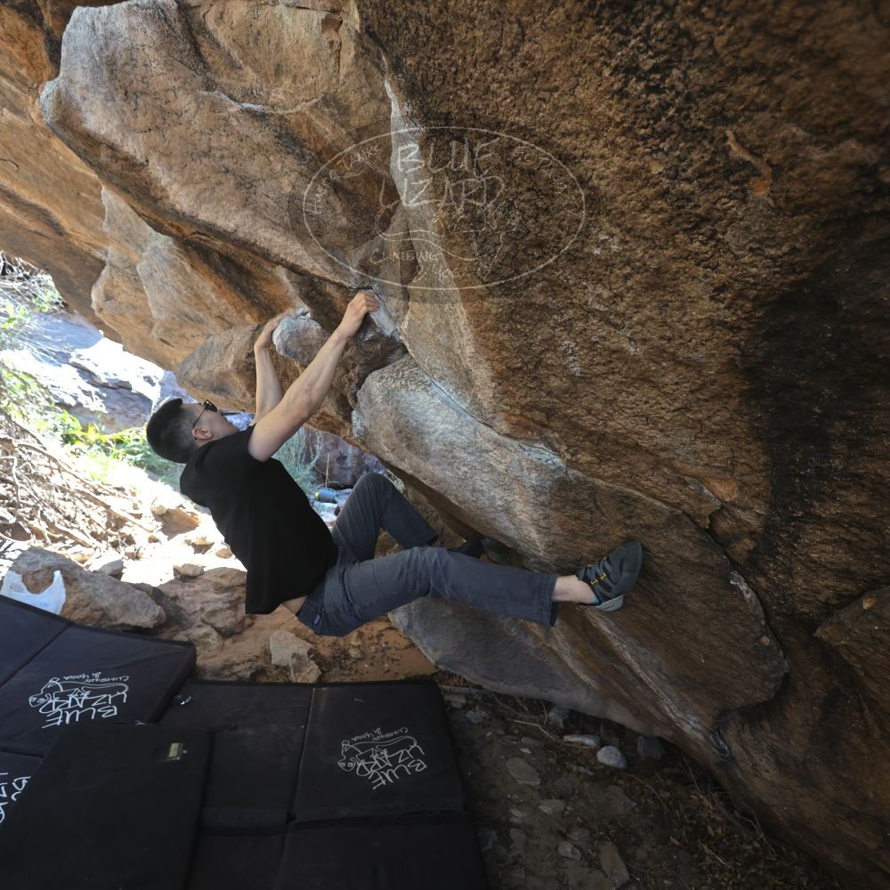 

Filename: SRM_20251109_1154040.jpg
Aperture: f/4.0
Shutter Speed: 1/400
Body: Canon EOS R6
Lens: Canon EF 16-35mm f/2.8 L