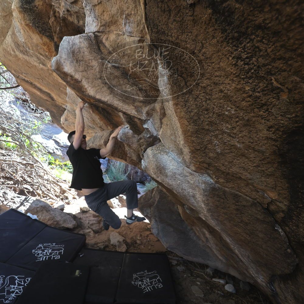 

Filename: SRM_20251109_1154100.jpg
Aperture: f/4.0
Shutter Speed: 1/400
Body: Canon EOS R6
Lens: Canon EF 16-35mm f/2.8 L