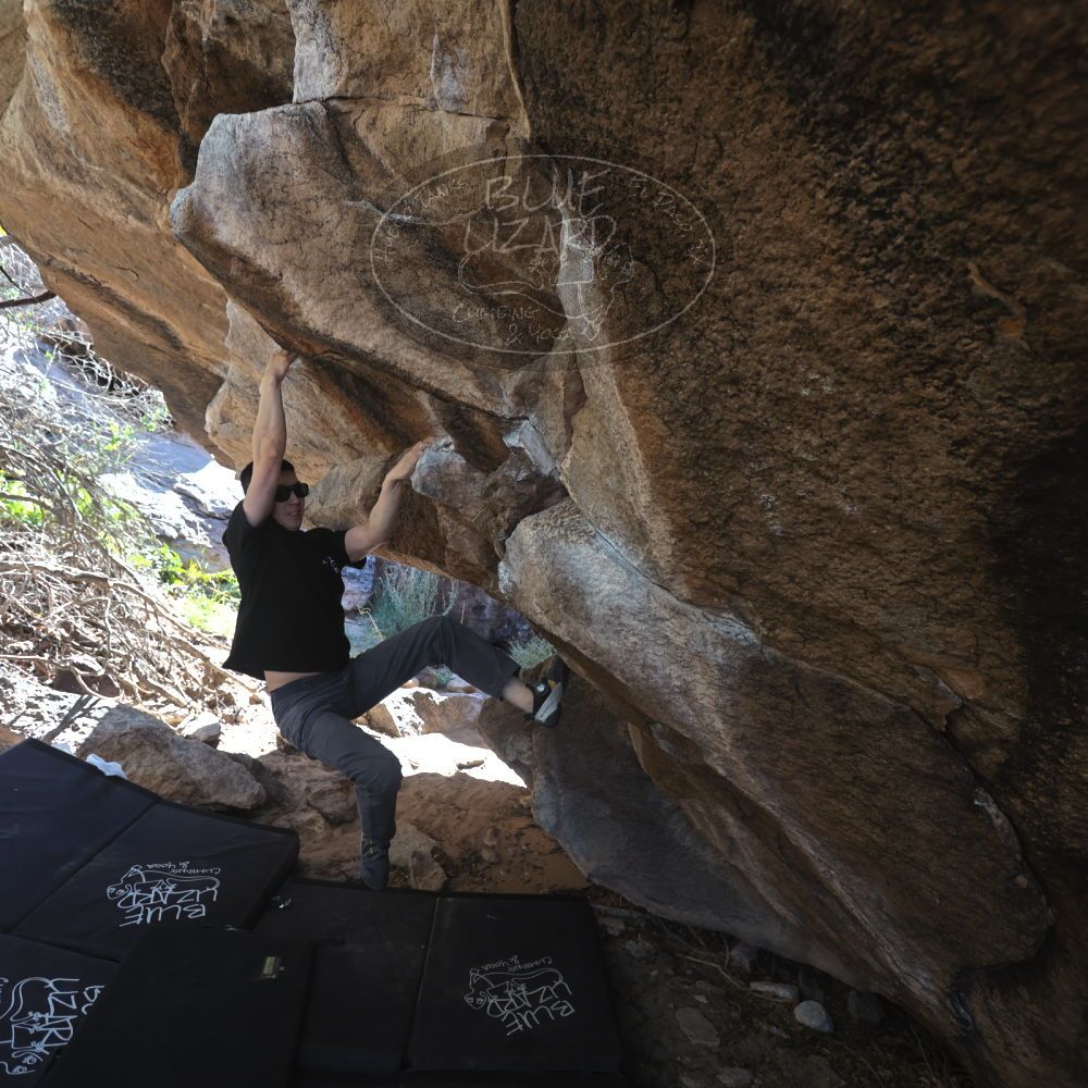 

Filename: SRM_20251109_1154101.jpg
Aperture: f/4.0
Shutter Speed: 1/400
Body: Canon EOS R6
Lens: Canon EF 16-35mm f/2.8 L