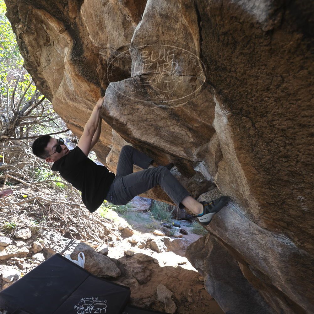 

Filename: SRM_20251109_1154270.jpg
Aperture: f/4.0
Shutter Speed: 1/400
Body: Canon EOS R6
Lens: Canon EF 16-35mm f/2.8 L