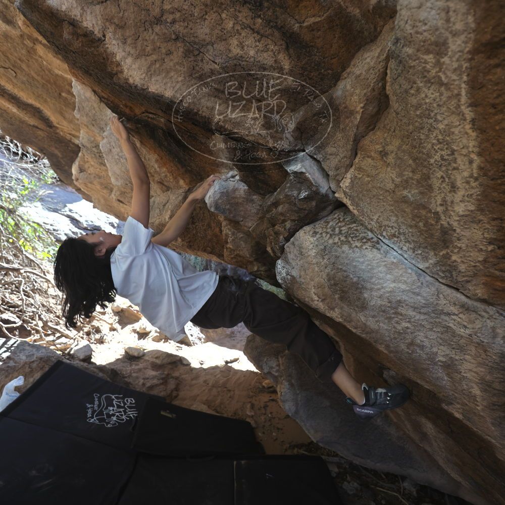 

Filename: SRM_20251109_1159480.jpg
Aperture: f/4.0
Shutter Speed: 1/400
Body: Canon EOS R6
Lens: Canon EF 16-35mm f/2.8 L