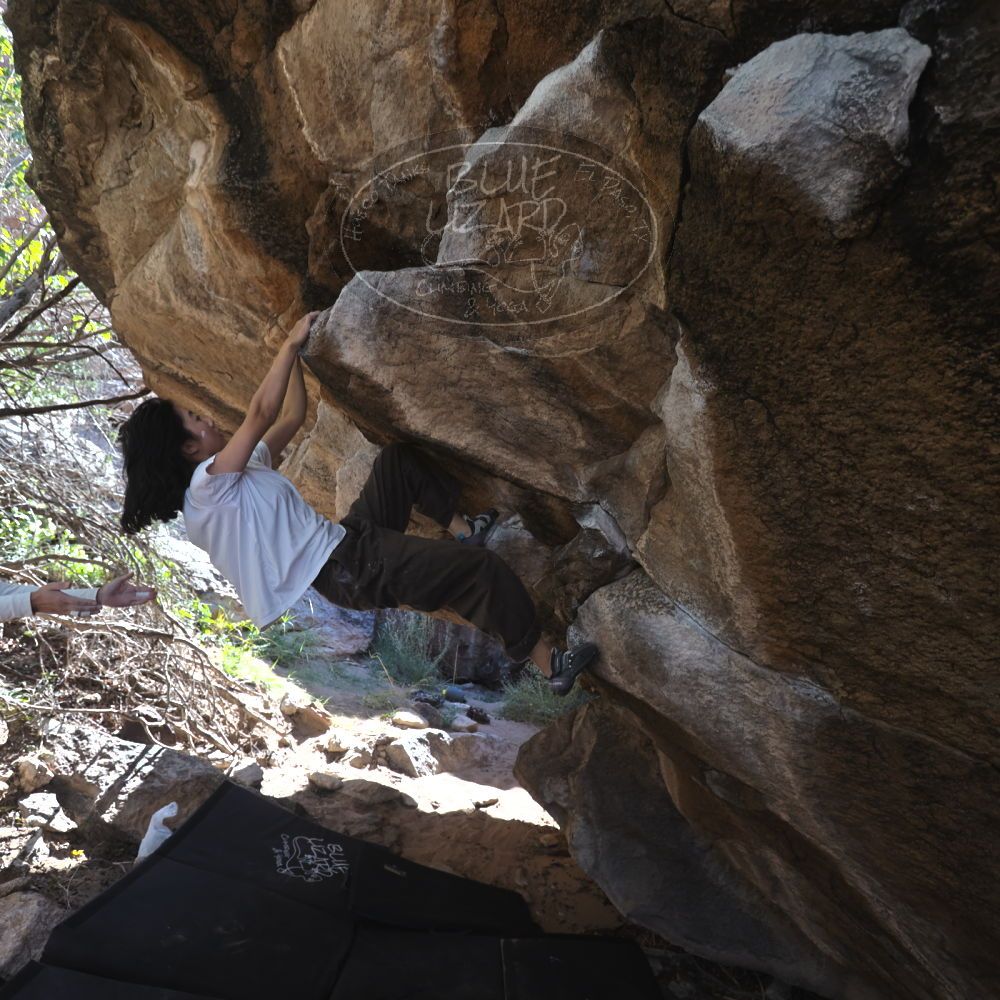 

Filename: SRM_20251109_1200070.jpg
Aperture: f/4.0
Shutter Speed: 1/400
Body: Canon EOS R6
Lens: Canon EF 16-35mm f/2.8 L