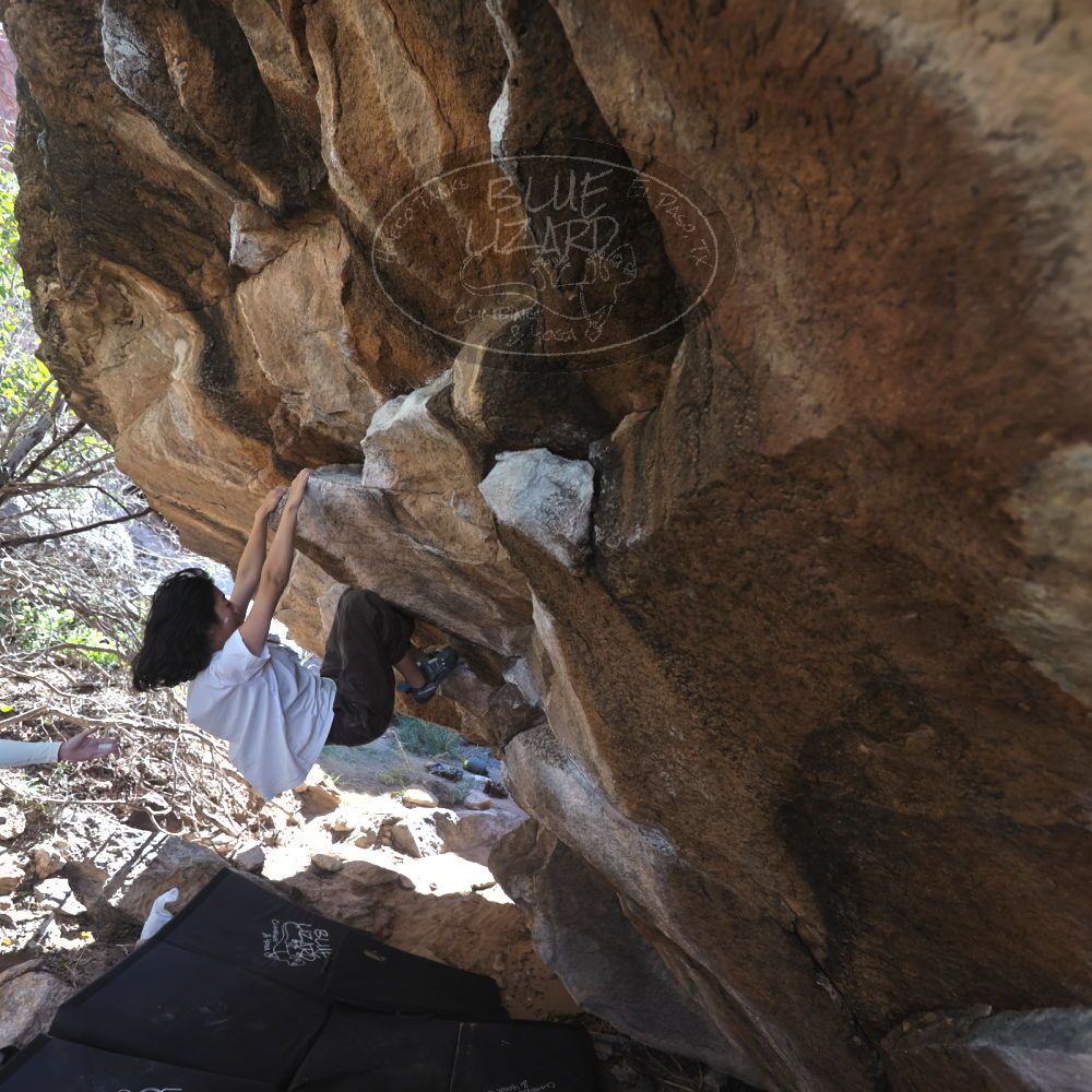 

Filename: SRM_20251109_1200240.jpg
Aperture: f/4.0
Shutter Speed: 1/400
Body: Canon EOS R6
Lens: Canon EF 16-35mm f/2.8 L