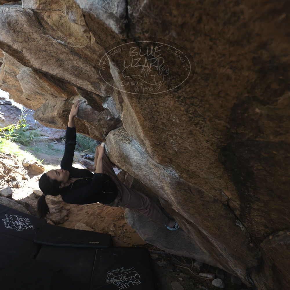 

Filename: SRM_20251109_1203190.jpg
Aperture: f/4.0
Shutter Speed: 1/400
Body: Canon EOS R6
Lens: Canon EF 16-35mm f/2.8 L