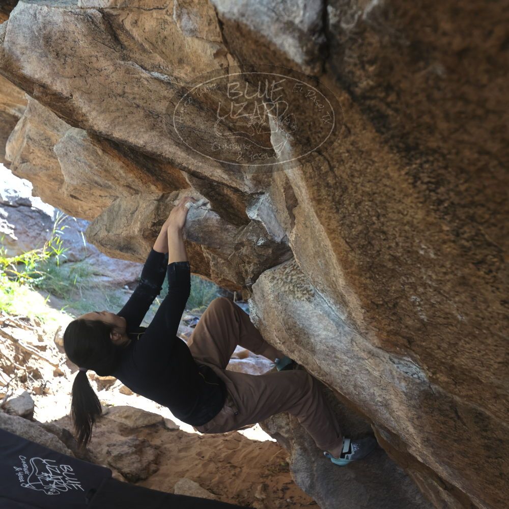 

Filename: SRM_20251109_1203240.jpg
Aperture: f/4.0
Shutter Speed: 1/400
Body: Canon EOS R6
Lens: Canon EF 16-35mm f/2.8 L