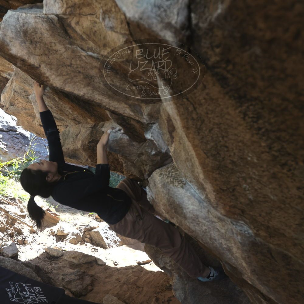 

Filename: SRM_20251109_1203250.jpg
Aperture: f/4.0
Shutter Speed: 1/400
Body: Canon EOS R6
Lens: Canon EF 16-35mm f/2.8 L