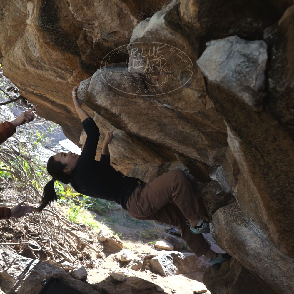 

Filename: SRM_20251109_1203300.jpg
Aperture: f/4.0
Shutter Speed: 1/400
Body: Canon EOS R6
Lens: Canon EF 16-35mm f/2.8 L