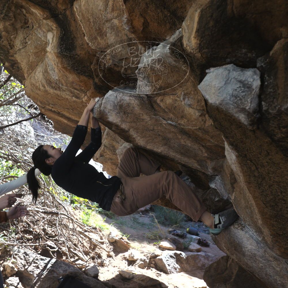 

Filename: SRM_20251109_1203350.jpg
Aperture: f/4.0
Shutter Speed: 1/400
Body: Canon EOS R6
Lens: Canon EF 16-35mm f/2.8 L