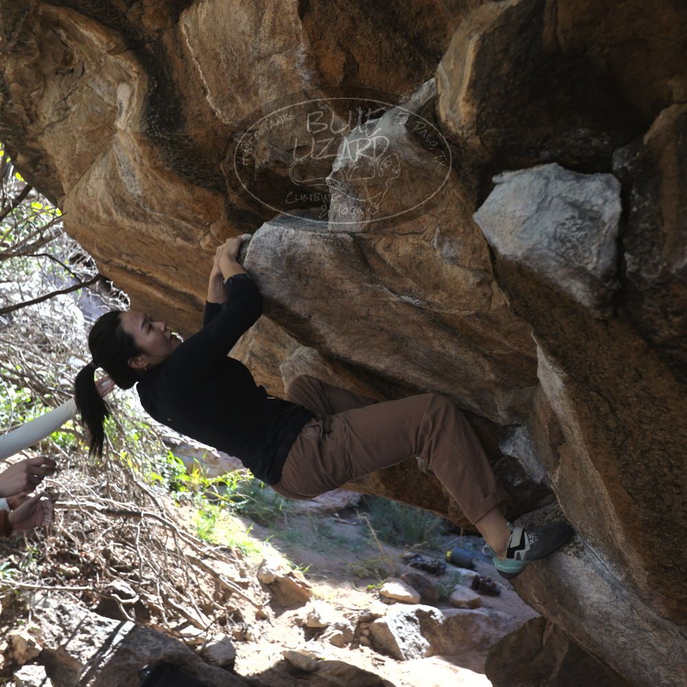 

Filename: SRM_20251109_1203380.jpg
Aperture: f/4.0
Shutter Speed: 1/400
Body: Canon EOS R6
Lens: Canon EF 16-35mm f/2.8 L