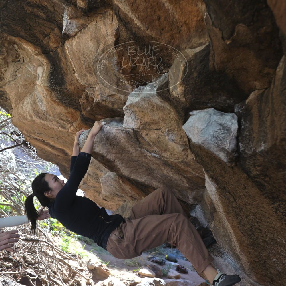 

Filename: SRM_20251109_1203410.jpg
Aperture: f/4.0
Shutter Speed: 1/400
Body: Canon EOS R6
Lens: Canon EF 16-35mm f/2.8 L