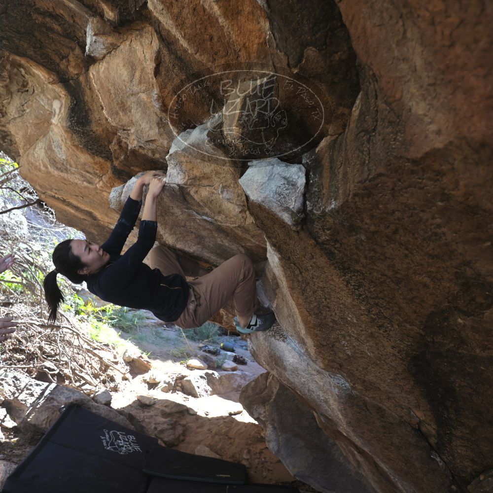 

Filename: SRM_20251109_1203490.jpg
Aperture: f/4.0
Shutter Speed: 1/400
Body: Canon EOS R6
Lens: Canon EF 16-35mm f/2.8 L