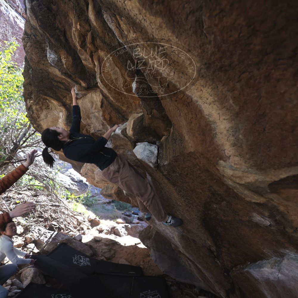 

Filename: SRM_20251109_1204050.jpg
Aperture: f/4.0
Shutter Speed: 1/400
Body: Canon EOS R6
Lens: Canon EF 16-35mm f/2.8 L