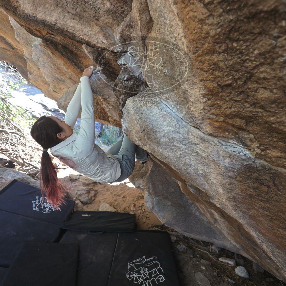 

Filename: SRM_20251109_1211410.jpg
Aperture: f/4.0
Shutter Speed: 1/400
Body: Canon EOS R6
Lens: Canon EF 16-35mm f/2.8 L