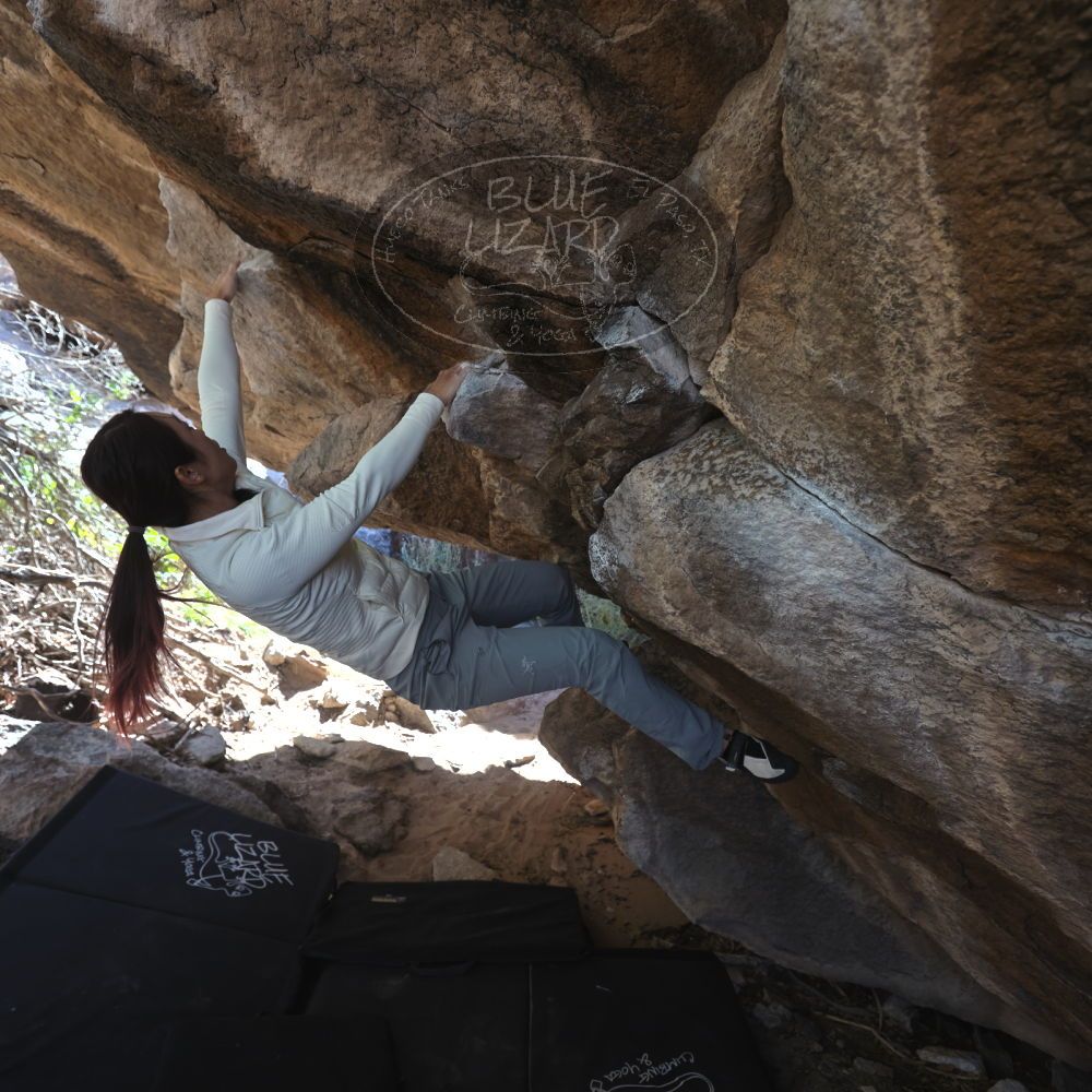 

Filename: SRM_20251109_1211460.jpg
Aperture: f/4.0
Shutter Speed: 1/400
Body: Canon EOS R6
Lens: Canon EF 16-35mm f/2.8 L