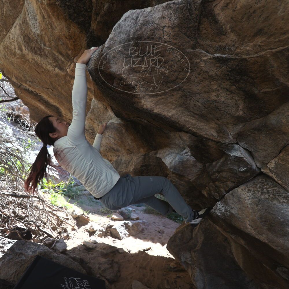 

Filename: SRM_20251109_1211511.jpg
Aperture: f/4.0
Shutter Speed: 1/400
Body: Canon EOS R6
Lens: Canon EF 16-35mm f/2.8 L