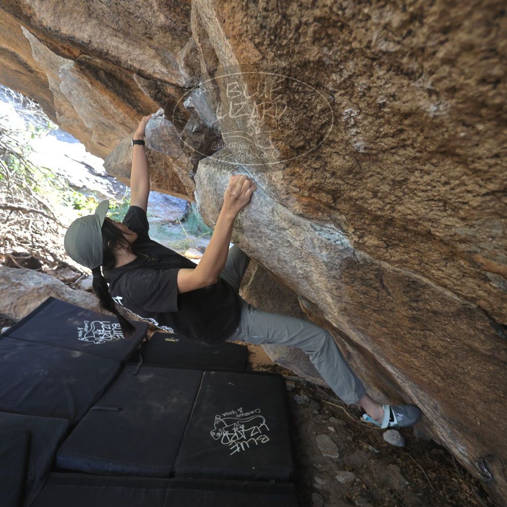 

Filename: SRM_20251109_1222450.jpg
Aperture: f/4.0
Shutter Speed: 1/400
Body: Canon EOS R6
Lens: Canon EF 16-35mm f/2.8 L