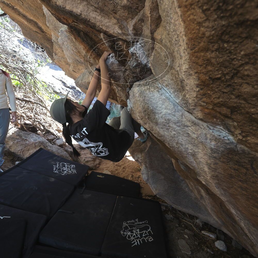 

Filename: SRM_20251109_1222500.jpg
Aperture: f/4.0
Shutter Speed: 1/400
Body: Canon EOS R6
Lens: Canon EF 16-35mm f/2.8 L