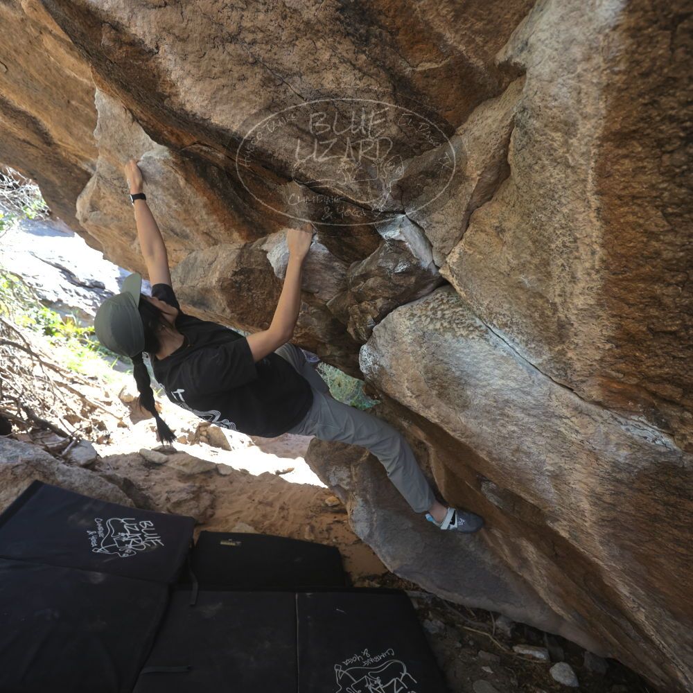 

Filename: SRM_20251109_1222550.jpg
Aperture: f/4.0
Shutter Speed: 1/400
Body: Canon EOS R6
Lens: Canon EF 16-35mm f/2.8 L