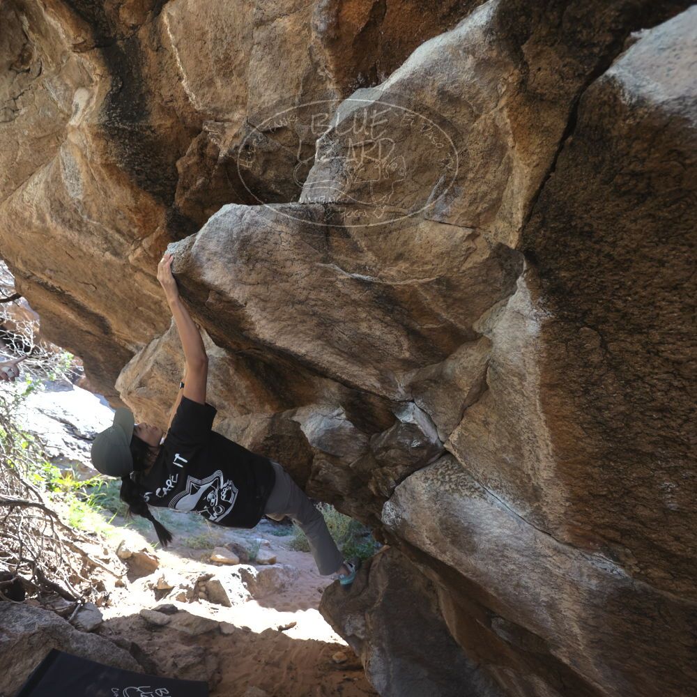 

Filename: SRM_20251109_1223100.jpg
Aperture: f/4.0
Shutter Speed: 1/400
Body: Canon EOS R6
Lens: Canon EF 16-35mm f/2.8 L