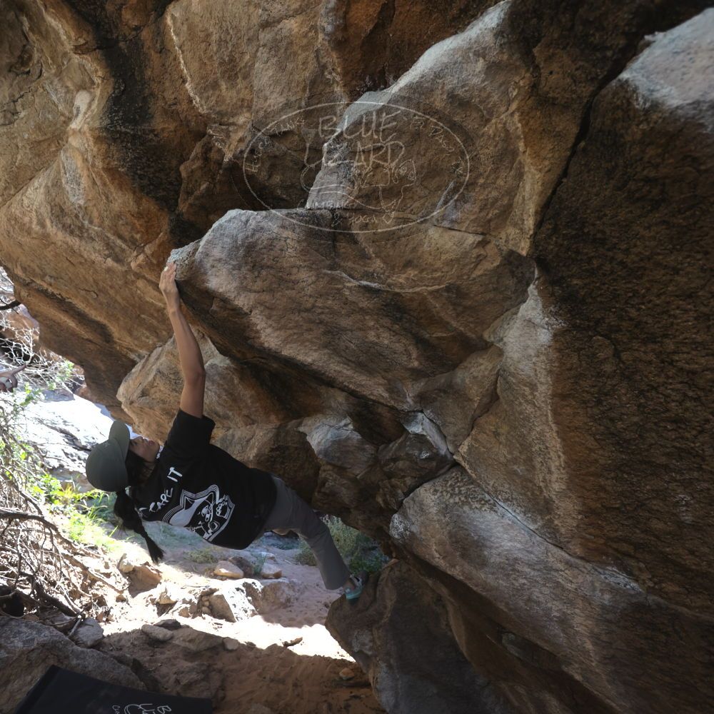 

Filename: SRM_20251109_1223110.jpg
Aperture: f/4.0
Shutter Speed: 1/400
Body: Canon EOS R6
Lens: Canon EF 16-35mm f/2.8 L