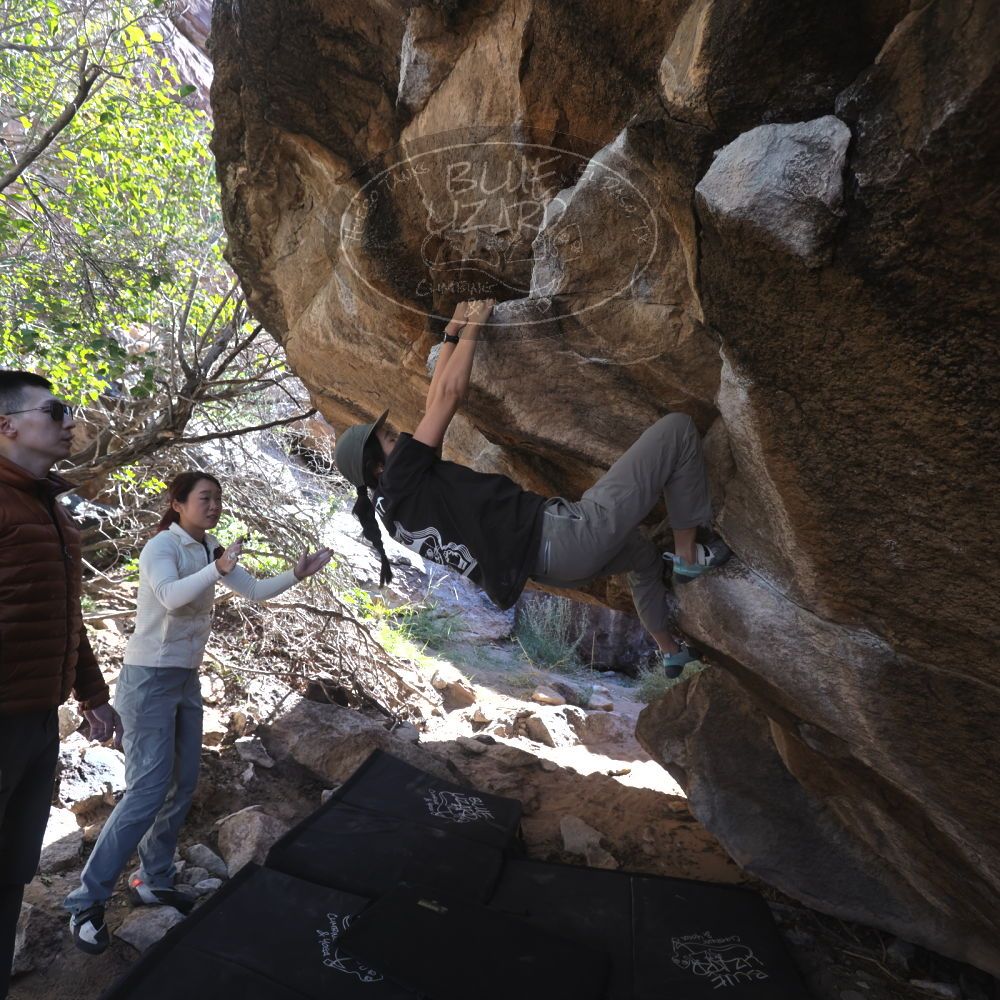 

Filename: SRM_20251109_1223430.jpg
Aperture: f/4.0
Shutter Speed: 1/400
Body: Canon EOS R6
Lens: Canon EF 16-35mm f/2.8 L