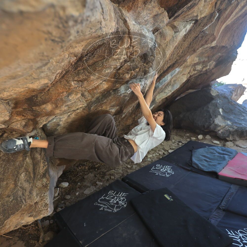 

Filename: SRM_20251109_1229180.jpg
Aperture: f/4.0
Shutter Speed: 1/400
Body: Canon EOS R6
Lens: Canon EF 16-35mm f/2.8 L