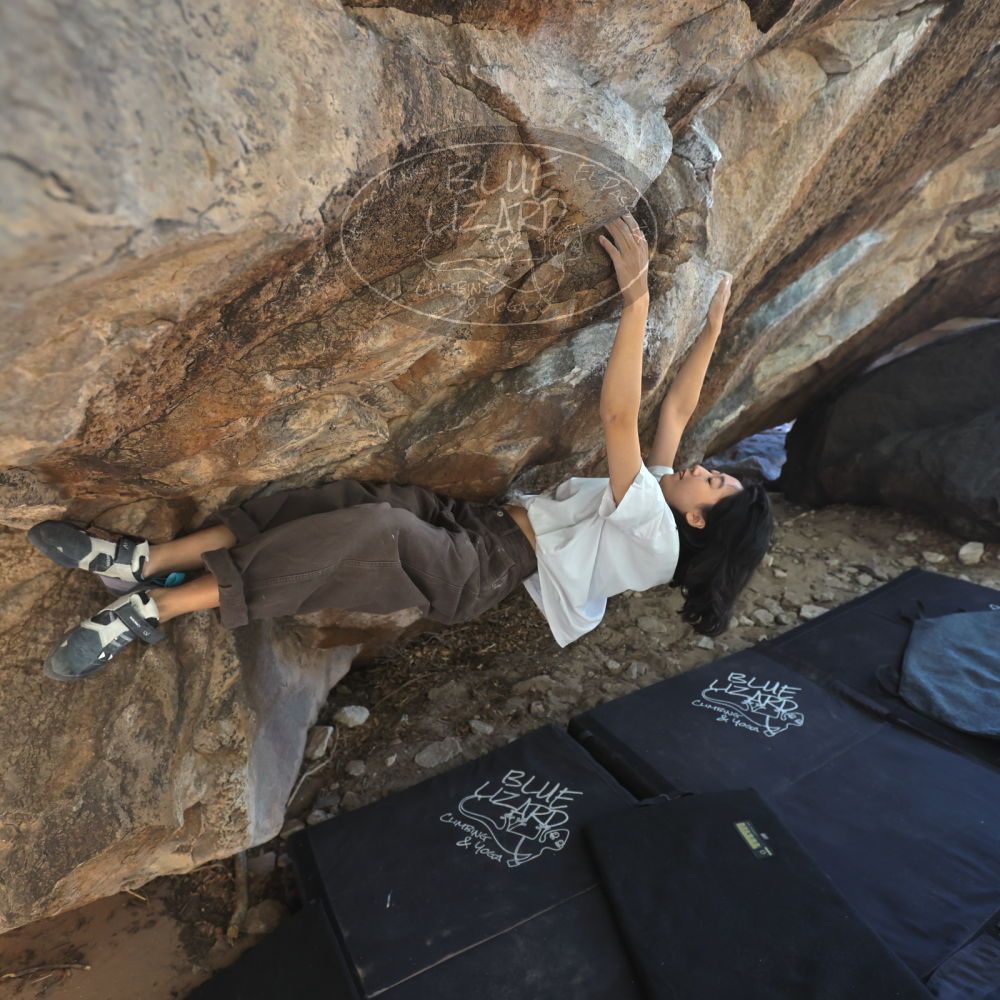 

Filename: SRM_20251109_1229210.jpg
Aperture: f/4.0
Shutter Speed: 1/400
Body: Canon EOS R6
Lens: Canon EF 16-35mm f/2.8 L