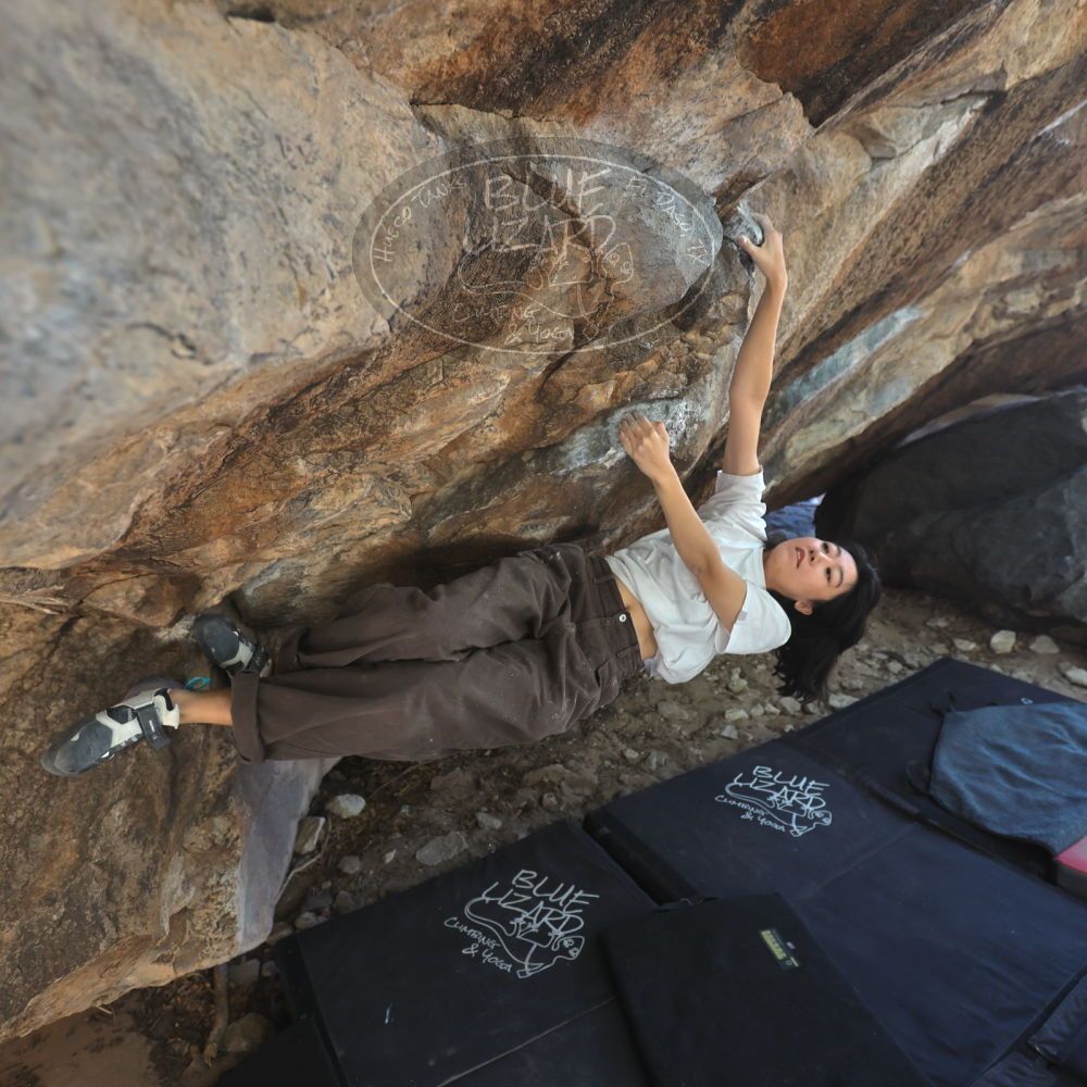 

Filename: SRM_20251109_1229250.jpg
Aperture: f/4.0
Shutter Speed: 1/400
Body: Canon EOS R6
Lens: Canon EF 16-35mm f/2.8 L