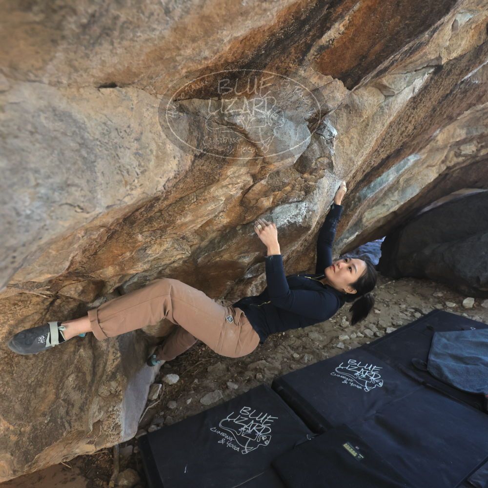 

Filename: SRM_20251109_1237240.jpg
Aperture: f/4.0
Shutter Speed: 1/1250
Body: Canon EOS R6
Lens: Canon EF 16-35mm f/2.8 L